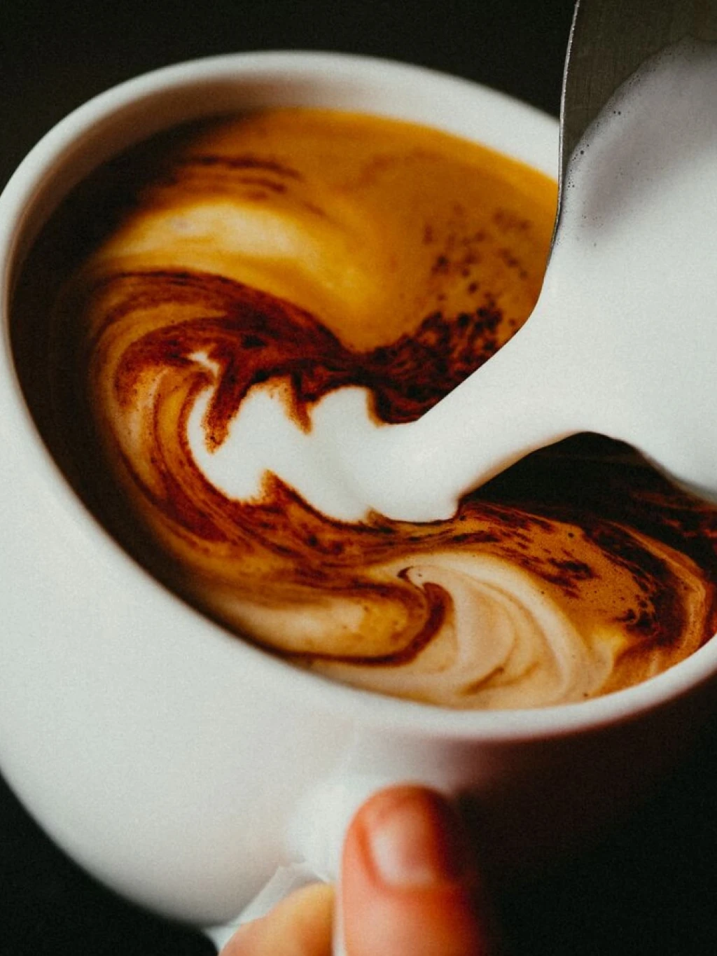 teaser-coffee-stands teaser-coffee-stands